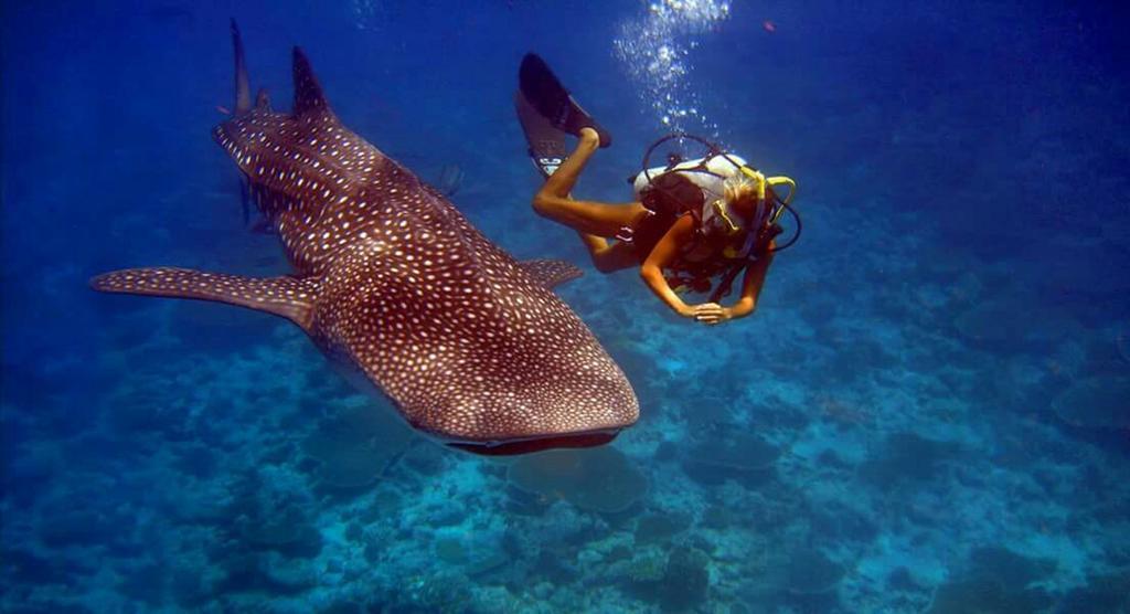 Batuta Maldives Surf View Hotel Тулусдоо Екстериор снимка